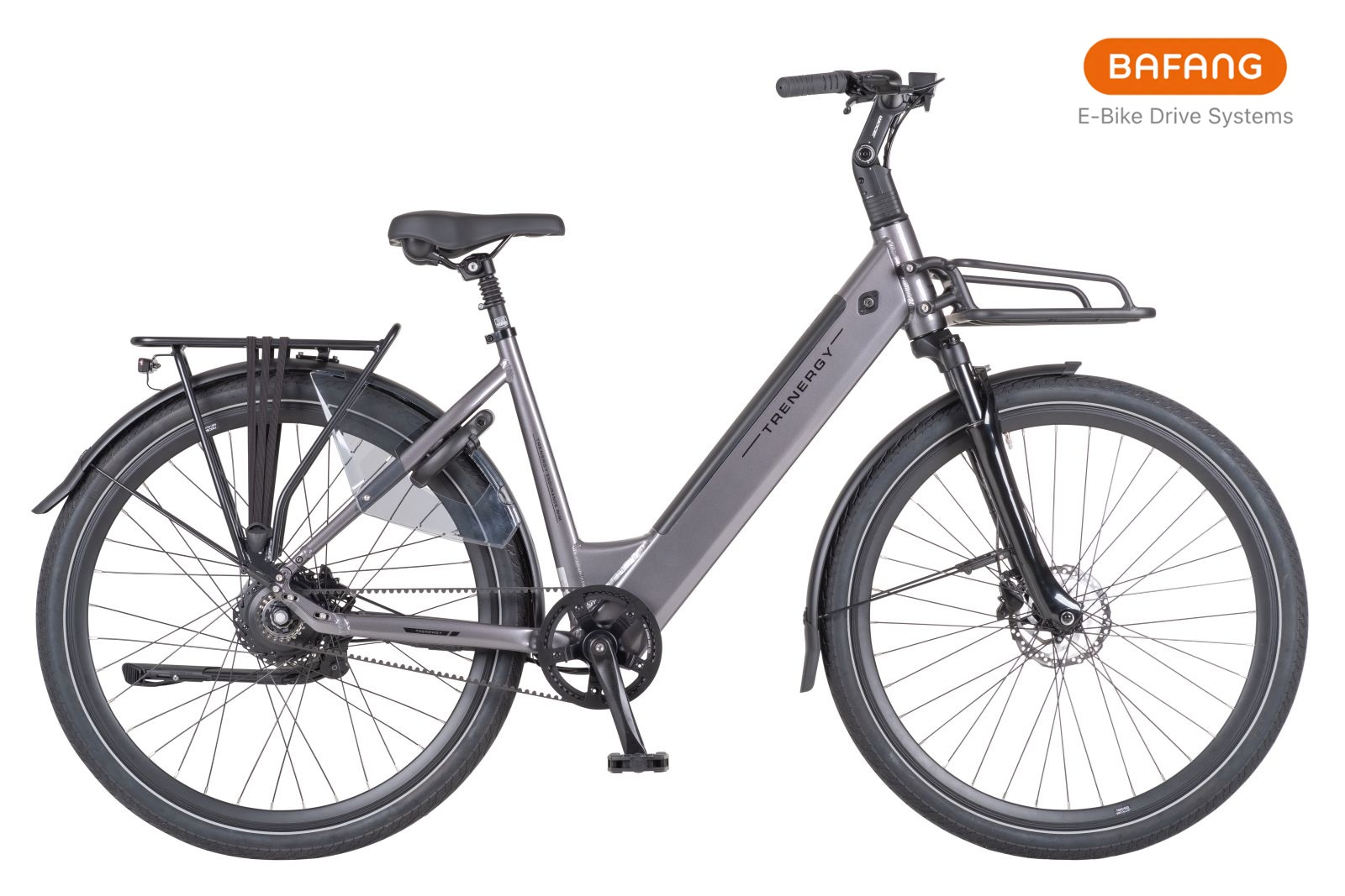 Elektrische fiets Trenergy Endurance Pro