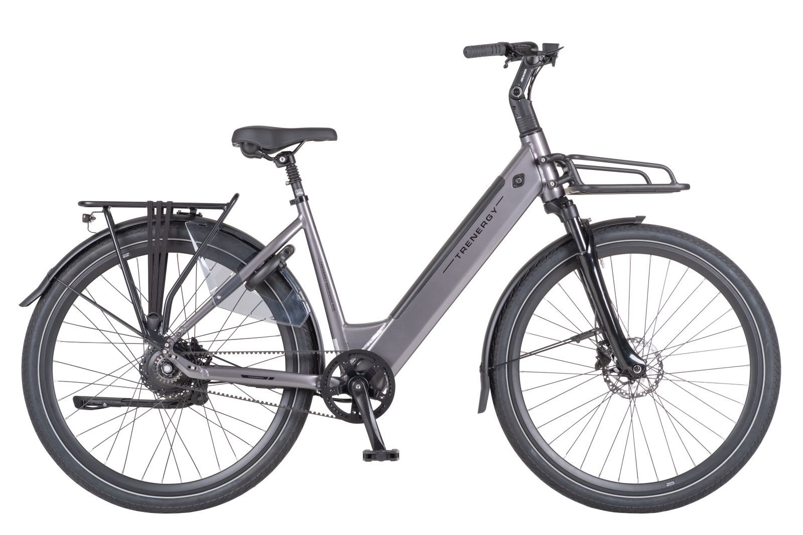 Elektrische fiets Trenergy Endurance Pro H700